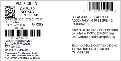 Label (57237 031 05 Amoxicillin 500mg 67046 1175 30)